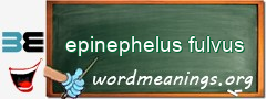 WordMeaning blackboard for epinephelus fulvus